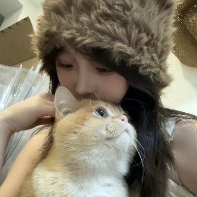 掌门女婿
